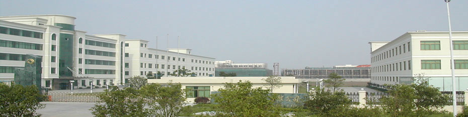 Ningbo Changqi International Co., Ltd.
